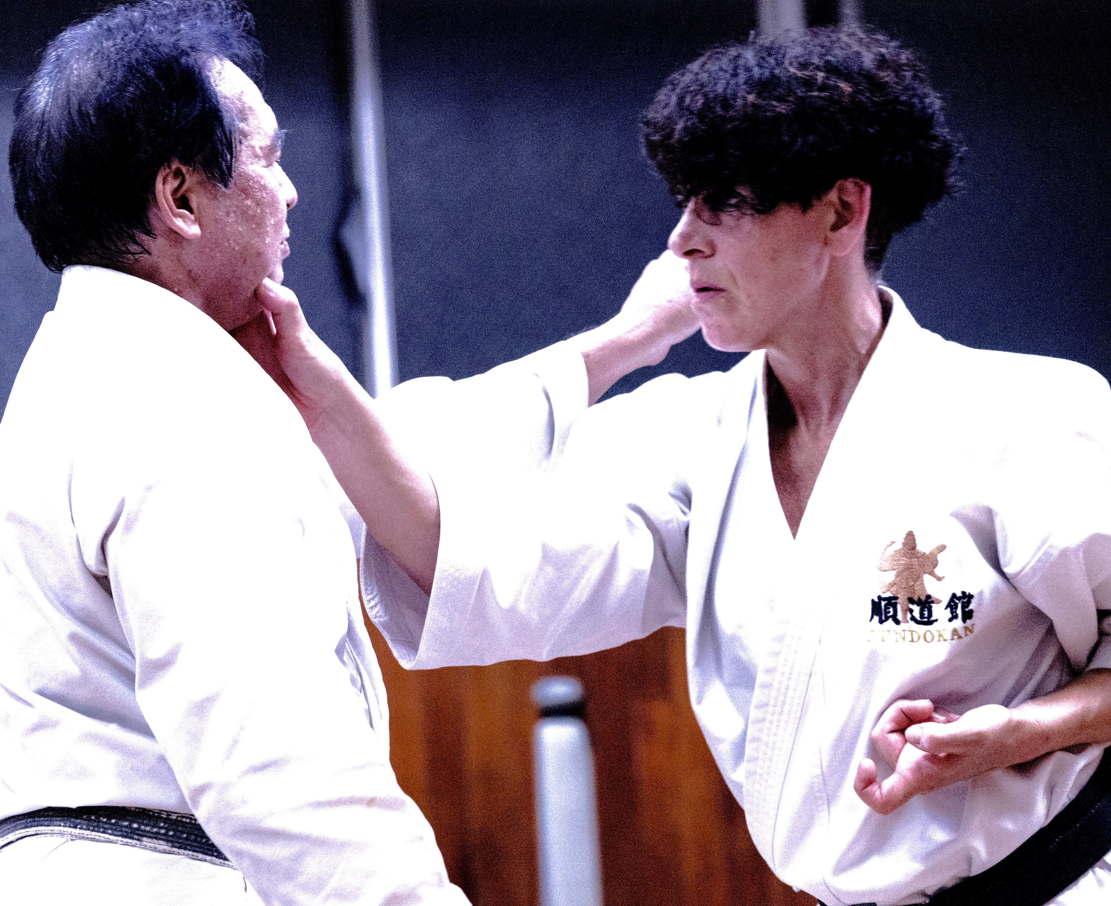 photos of goju ryu training and Okinawa